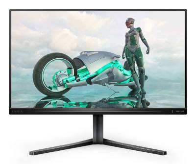 Evnia 25M2N3200W/00 pantalla para PC 62,2 cm (24.5") 1920 x 1080 Pixeles Full HD LCD Gris